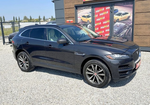 jaguar