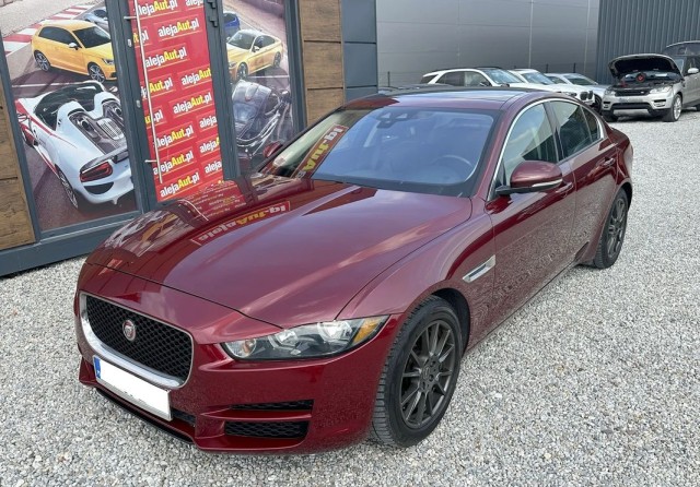 jaguar